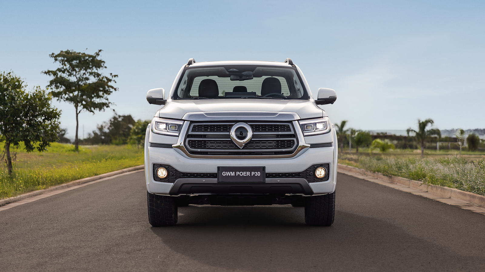 GWM POER P30